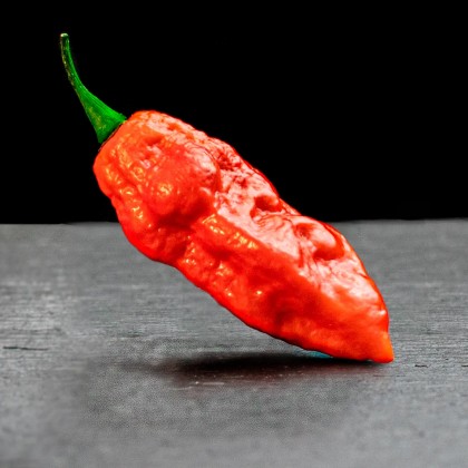 Насіння перцю Привид (Ghost) червоний