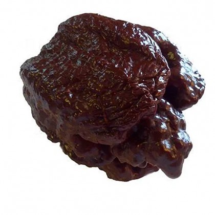 Насіння перцю Скорпіон (Scorpion) шоколадний