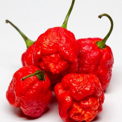 Насіння перцю 7 Пот (7 Pot) червоний (red)