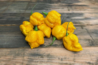 Насіння перцю Кароліна Ріпер (Carolina Reaper) жовтий (yellow)